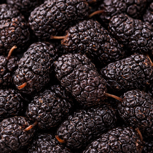 Black Mulberry