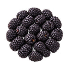Blackberry Dried