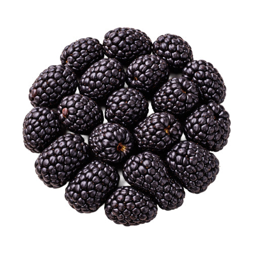Blackberry Dried