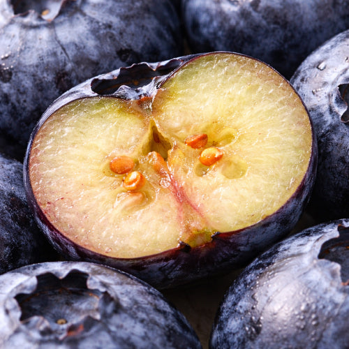 Blueberry (With Seeds)