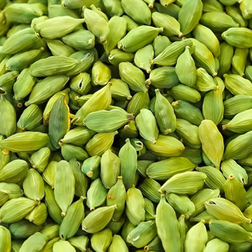 Cardamom