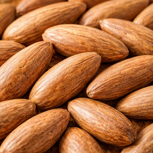 Pinenuts/Chilguza (With Shells)